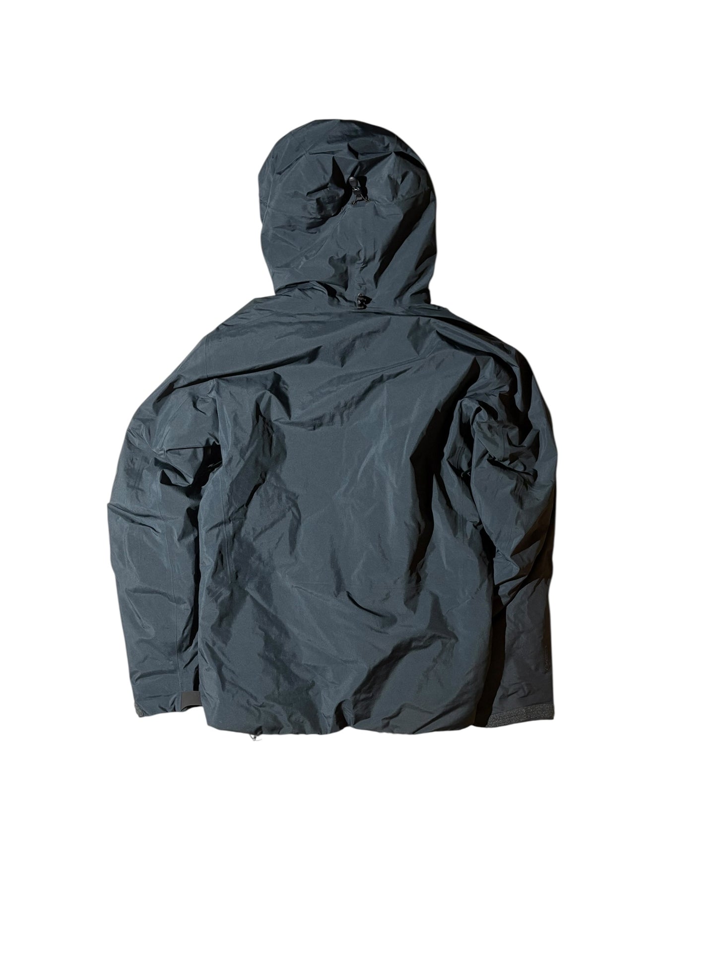Arcteryx Beta Insulated Gore Tex Ski Jacke